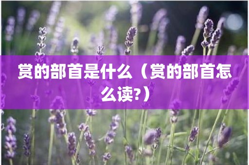 赏的部首是什么（赏的部首怎么读?）