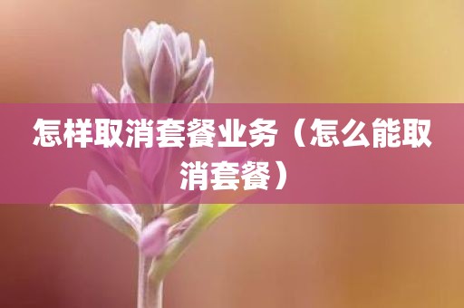 怎样取消套餐业务（怎么能取消套餐）