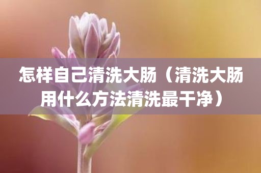 怎样自己清洗大肠(清洗大肠用什么方法清洗最干净) 怎样自己清洗大肠(清洗大肠用什么方法清洗最干净)