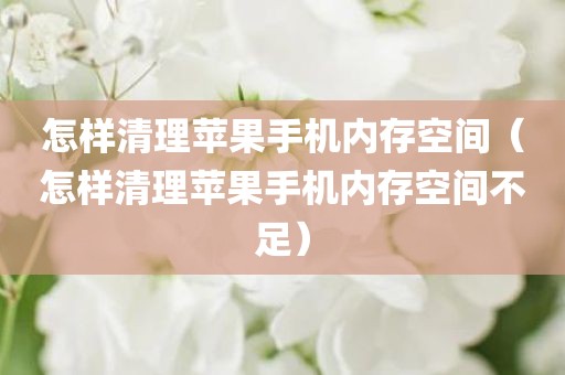 怎样清理苹果手机内存空间（怎样清理苹果手机内存空间不足）