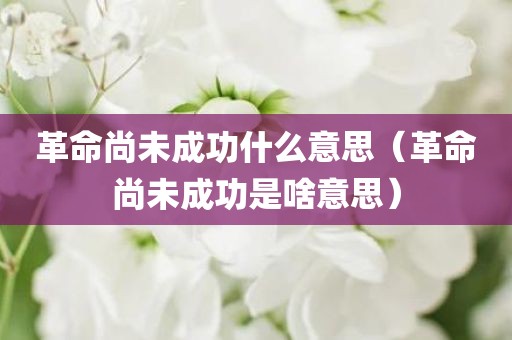 革命尚未成功什么意思（革命尚未成功是啥意思）
