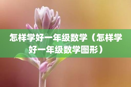 怎样学好一年级数学（怎样学好一年级数学图形）