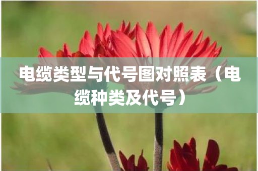 电缆类型与代号图对照表（电缆种类及代号）