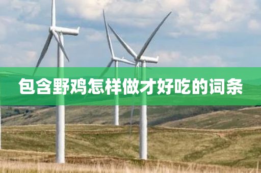 包含野鸡怎样做才好吃的词条