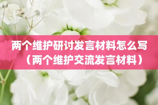 两个维护研讨发言材料怎么写（两个维护交流发言材料）