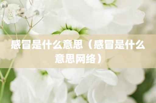 感冒是什么意思（感冒是什么意思网络）