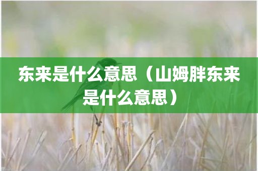 东来是什么意思（山姆胖东来是什么意思）