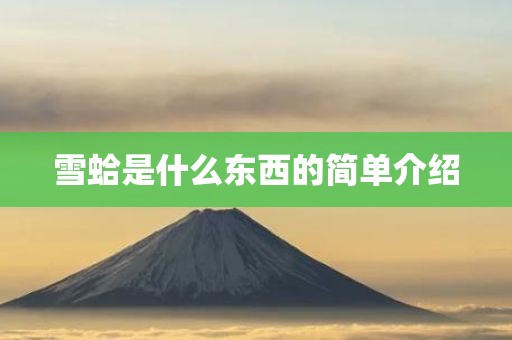 雪蛤是什么东西的简单介绍