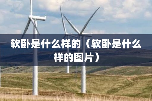 软卧是什么样的（软卧是什么样的图片）