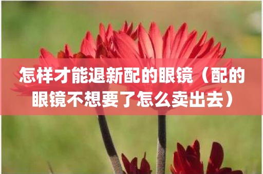 怎样才能退新配的眼镜（配的眼镜不想要了怎么卖出去）