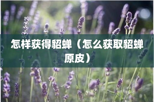 怎样获得貂蝉（怎么获取貂蝉原皮）