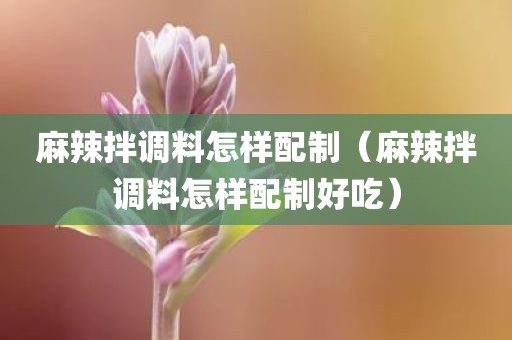 麻辣拌调料怎样配制（麻辣拌调料怎样配制好吃）
