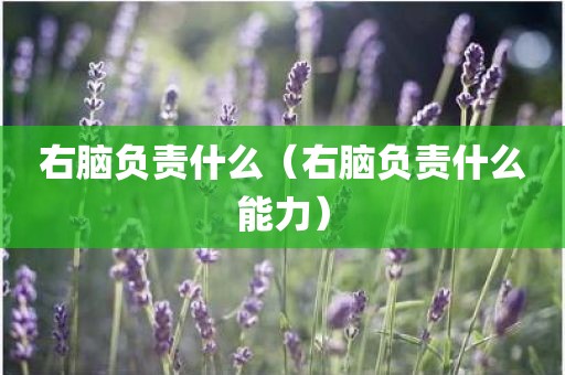 右脑负责什么（右脑负责什么能力）