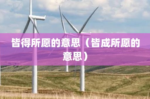 皆得所愿的意思（皆成所愿的意思）