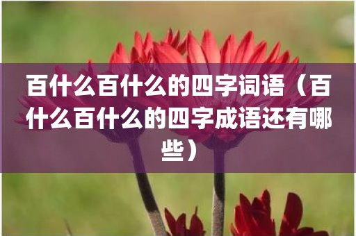 百什么百什么的四字词语（百什么百什么的四字成语还有哪些）