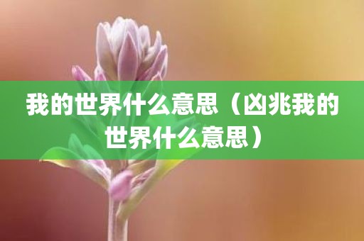 我的世界什么意思（凶兆我的世界什么意思）