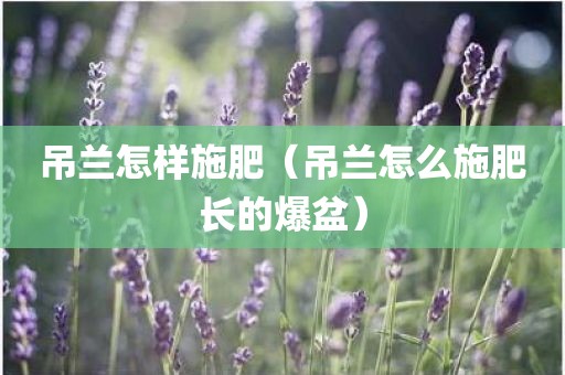 吊兰怎样施肥（吊兰怎么施肥长的爆盆）