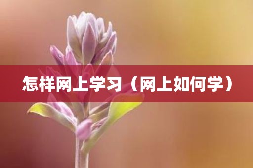 怎样网上学习（网上如何学）