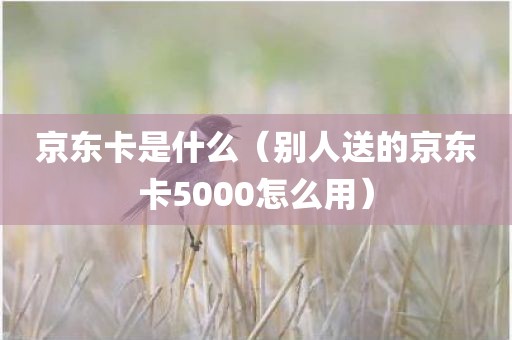 京东卡是什么（别人送的京东卡5000怎么用）