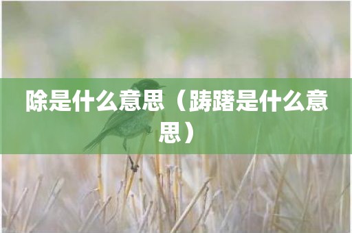 除是什么意思（踌躇是什么意思）