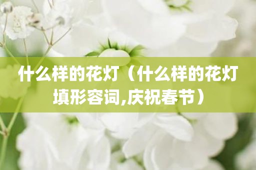 什么样的花灯（什么样的花灯填形容词,庆祝春节）