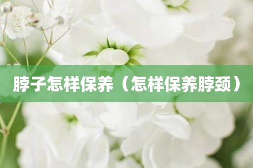 脖子怎样保养（怎样保养脖颈）