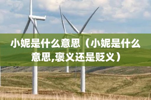 小妮是什么意思（小妮是什么意思,褒义还是贬义）