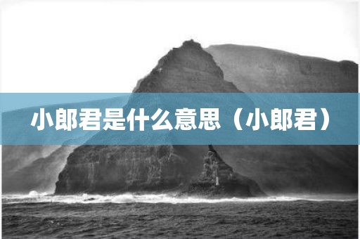 小郎君是什么意思（小郎君）