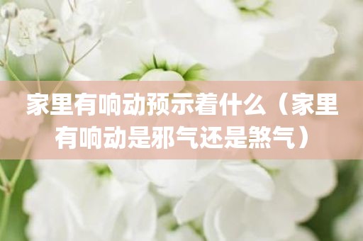 家里有响动预示着什么（家里有响动是邪气还是煞气）