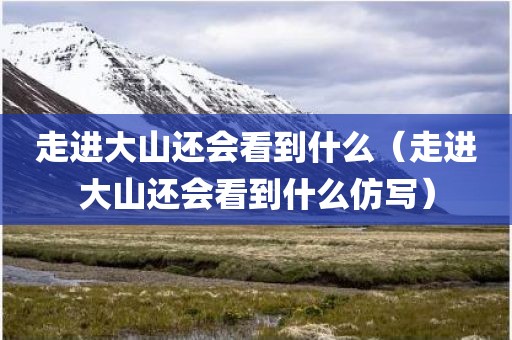 走进大山还会看到什么（走进大山还会看到什么仿写）