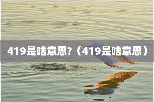 419是啥意思?（419是啥意思）