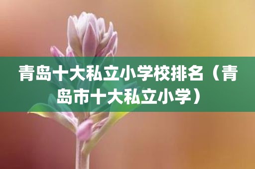 青岛十大私立小学校排名（青岛市十大私立小学）