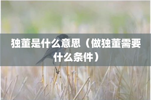 独董是什么意思（做独董需要什么条件）