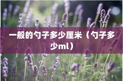 一般的勺子多少厘米（勺子多少ml）