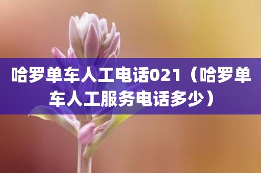 哈罗单车人工电话021（哈罗单车人工服务电话多少）