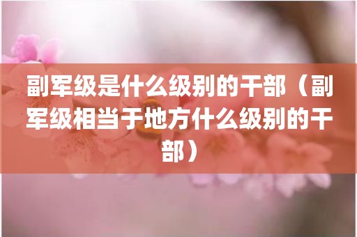 副军级是什么级别的干部（副军级相当于地方什么级别的干部）