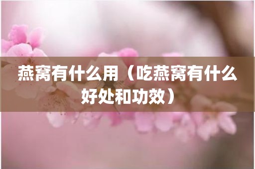 燕窝有什么用（吃燕窝有什么好处和功效）