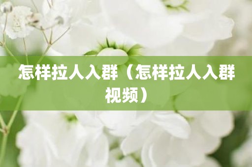 怎样拉人入群（怎样拉人入群视频）