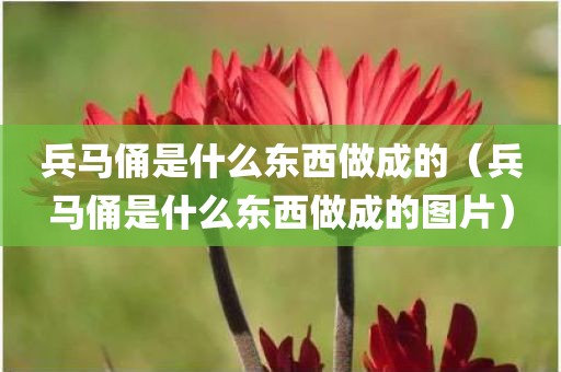 兵马俑是什么东西做成的（兵马俑是什么东西做成的图片）