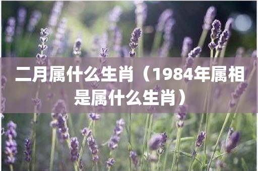二月属什么生肖（1984年属相是属什么生肖）