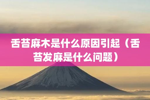 舌苔麻木是什么原因引起（舌苔发麻是什么问题）