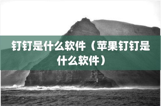 钉钉是什么软件（苹果钉钉是什么软件）