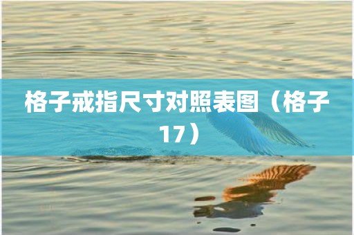 格子戒指尺寸对照表图（格子17）