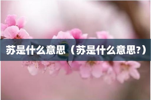 苏是什么意思（苏是什么意思?）