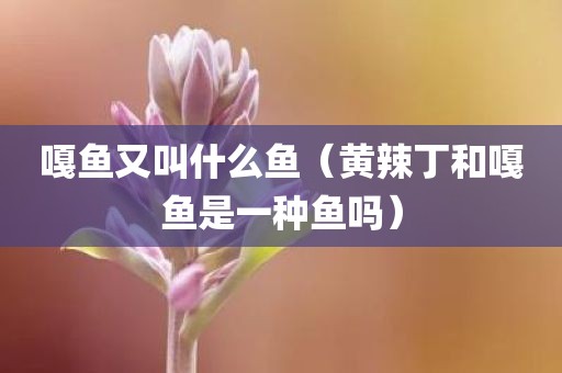 嘎鱼又叫什么鱼（黄辣丁和嘎鱼是一种鱼吗）