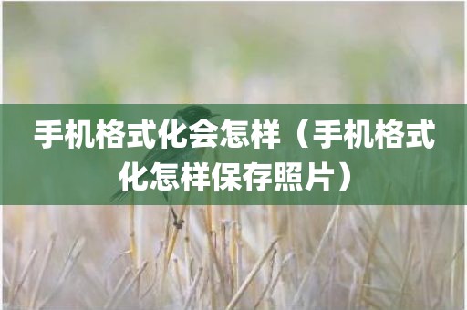 手机格式化会怎样（手机格式化怎样保存照片）