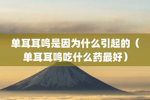 单耳耳鸣是因为什么引起的（单耳耳鸣吃什么药最好）