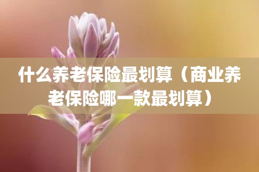 什么养老保险最划算（商业养老保险哪一款最划算）