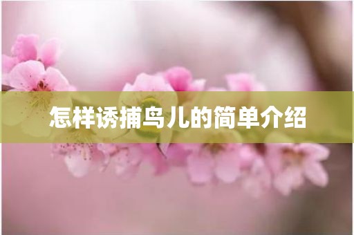 怎样诱捕鸟儿的简单介绍