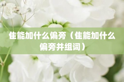 隹能加什么偏旁（隹能加什么偏旁并组词）